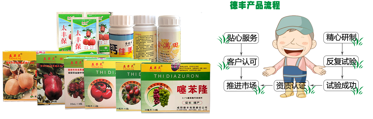 德豐公司產(chǎn)品流程 噻苯隆流程